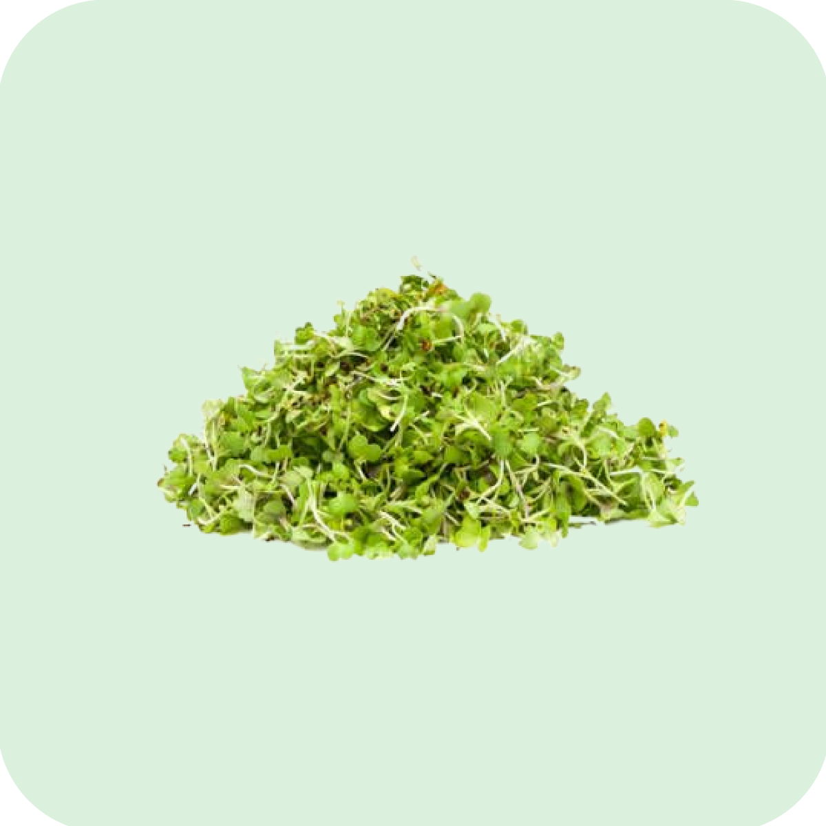 Germinados de Misuna Verde Orgánicos 50G - ARCAIKA ORGÁNICO